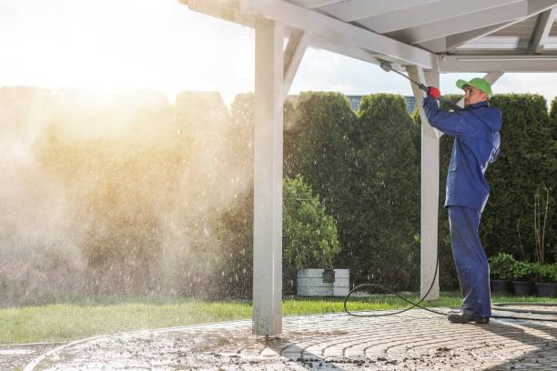 Best Roof Washing  in Laurel, MT