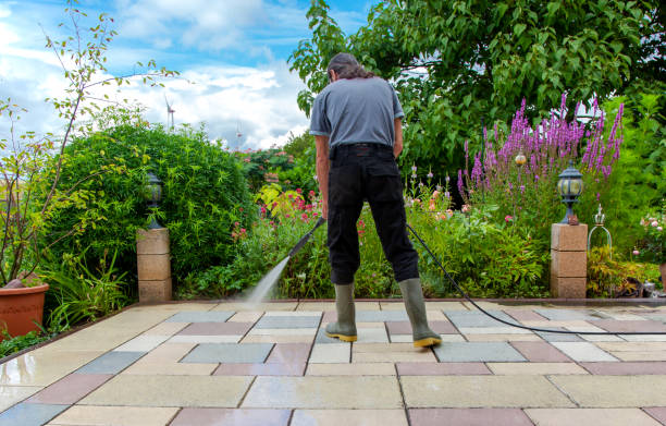 Best Animal Enclosure Cleaning  in Laurel, MT