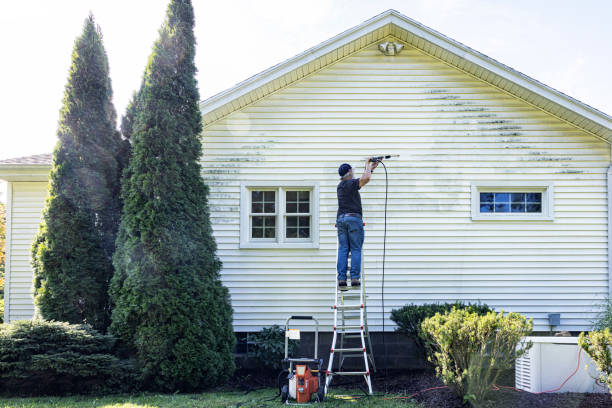 Best Sidewalk and Walkway Cleaning  in Laurel, MT